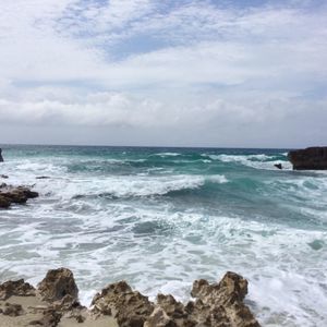 Meet your Posher, Yolanda m.